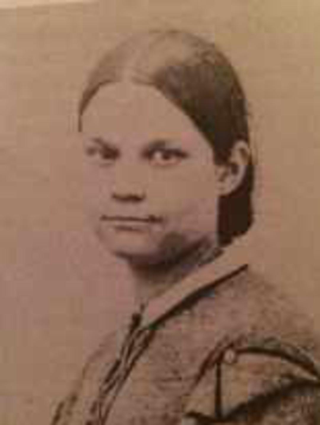Julia Cynthia Hubbard (1848 - 1939) Profile